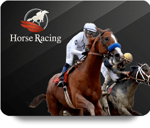 W88 Casino Royal: Your Ultimate Guide to Online Gaming Experience